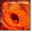 Ferment by Catherine Wheel: CD Cover
