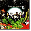 Connected by Stereo MC's: CD Cover
