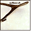 Wishbone Ash by Wishbone Ash: CD Cover