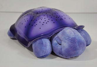  Twilight Turtle - purple 