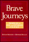 Brave Journeys: Profiles in Gay and Lesbian Courage