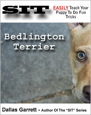 How To Train Your Bedlington Terrier To Do Fun Tricks