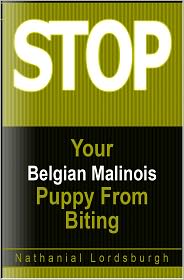 Keep Your Belgian Malinois From Biting