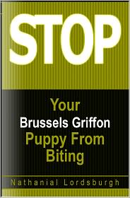 Keep Your Brussels Griffon From Biting