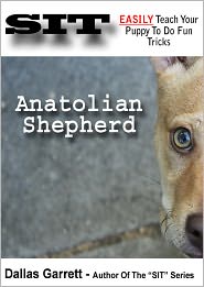 How To Train Your Anatolian Shepherd To Do Fun Tricks