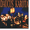 Shrine by Daucus Karota: CD Cover