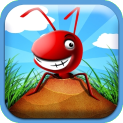 Product Image. Title: Pocket Ants