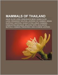 Mammals of Thailand: Gaur, Slow Loris, Asian Black Bear, 