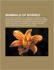 Mammals of Borneo: Slow Loris, Leopard Cat, Horsfield's 