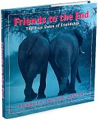 Product Image. Title: Friends to the End: The True Value of Friendship
