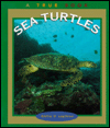 Sea Turtles by Emilie U. Lepthien: Book Cover