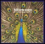 Expecting to Fly by The Bluetones: CD Cover