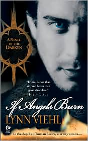 If Angels Burn (Darkyn Series #1) by Lynn Viehl: Book Cover