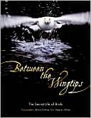 Between the Wingtips The Secret Life of Birds