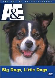 Big Dogs, Little Dogs: DVD Cover