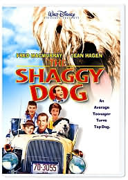 The Shaggy Dog