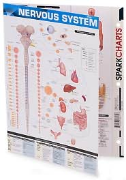 Nervous System (SparkCharts) by SparkNotes Editors: Book Cover