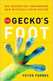 The Gecko's Foot by Peter Forbes: Book Cover