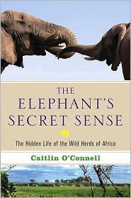The Elephant's Secret Sense by Caitlin O'Connell: Book Cover