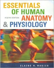 Essentials of Human Anatomy and Physiology