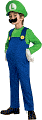 Product Image. Title: Super Mario Bros. - Luigi Deluxe Child Costume: Size Medium (8/10)