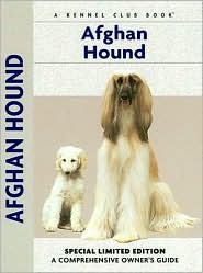 Afghan Hound