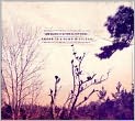 CD Cover Image. Title: There Is a Bomb in Gilead, Artist: Lee  Bains