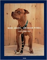 American Pitbull by James Frey: Book Cover