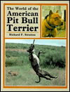 The World of the American Pit Bull Terrier
