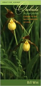 Orchids in Your Pocket: A Guide to the Native Orchids of Iowa