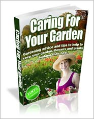 Buy best plants for cut flowers - Caring For Your Garden - Gardening Advice And Tips To Help To Keep Your Garden, Flowers And Plants Looking Their Best