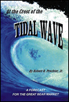At the Crest of the
                                                   Tidal Wave: A Forecast for the Great Bear Market
