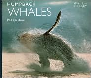 Humpback Whales by Phil Clapham: Book Cover