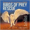 Birds of Prey Rescue: Changing the Future for Endangered Wildlife