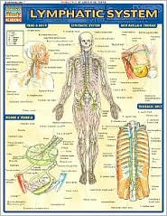 Lymphatic System by BarCharts: Book Cover