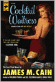 The Cocktail Waitress