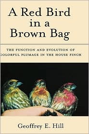 A Red Bird in a Brown Bag by Geoffrey E. Hill: Book Cover