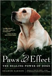 Paws and Effect: The Healing Power of Dogs