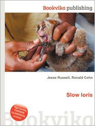 Slow Loris