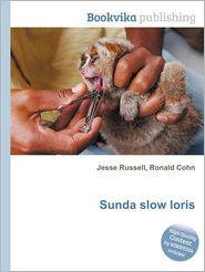 Sunda Slow Loris