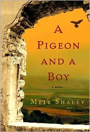 A Pigeon and a Boy by Meir Shalev: Book Cover
