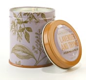 Product Image. Title: Lavender Thyme Botanical Tin Candle
