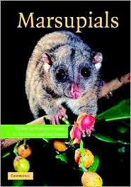 Marsupials by Patricia J. Armati: Book Cover