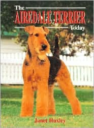 Airedale Terrier Today