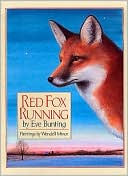 Red Fox Running