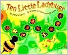 Ten Little Ladybugs by Melanie Gerth: Book Cover