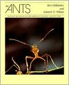 The Ants by Bert Holldobler: Book Cover
