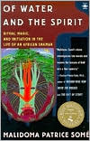 Of Water and the Spirit by Malidoma Patrice Patrice Some: Book Cover