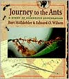 Journey to the Ants by Bert Holldobler: Book Cover