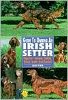 Guide to Owning an Irish Setter